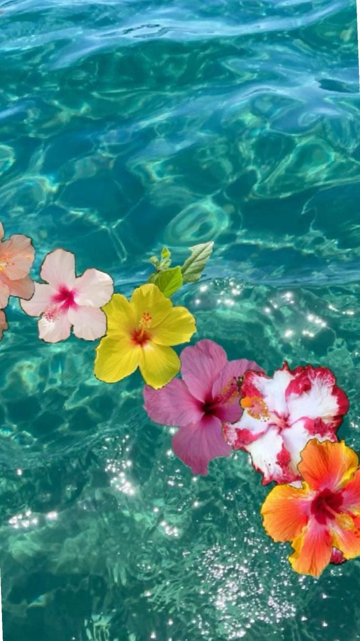 MOSS The Label beachwear lifestyle, The Beach Babe