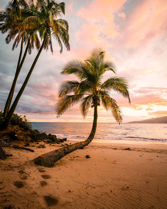 ENDLESS SUMMER 🌺 SUMMER MAY BE ENDING - BUT WE’RE NOT 😎